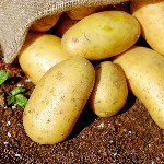 Potatoes